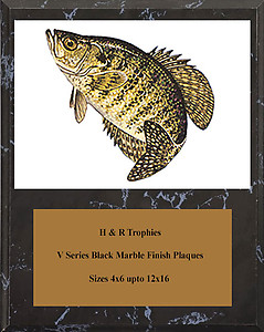 V Series Black Marble Finish Crappie Plaques