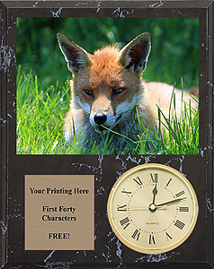 V Series Black Marble Finish Fox & Coyote Plaques with Clocks
