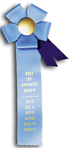 TR71  4.5 X 13 inches Pointer and Retriever Field Trial Rosette Ribbon 