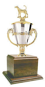 SGGW Foxhound Field Trial Cup Trophies with Three Size Options