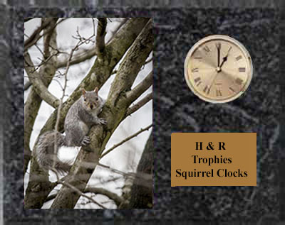 Squirrel Plaque Clock