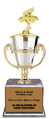 BMRC Sprint Car Cup Trophies with Three Size Options