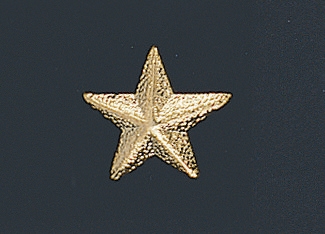 Chenille Star Jacket Letter Pin
