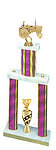2PSS Tractor Trophies