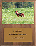 Fox & Coyote Field Trial Plaques V Series Genuine Walnut