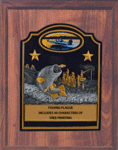 Cherry Finish Fish Plaque Award WTR790-CF810