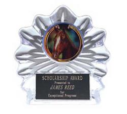 Acrylic Flame Ice Equestrian Trophies