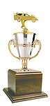 Dirt Car Cup Trophies GWRC Series
