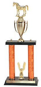 DPC-704g Arabian Horse Show Trophy with two posts