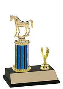 R2 Arabian Equestrian Trophy, select heights of 8