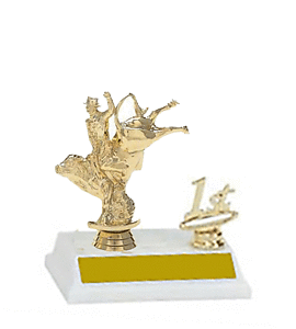 2BF Rodeo Trophies with trim