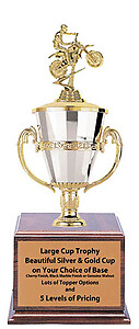 CFRC8-370DB Dirt Bike Cup Trophy with Cherry Finish Base