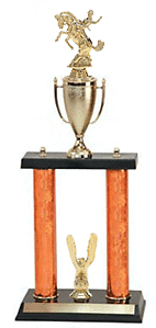 DPC-720G Bronc Rider Horse Show Trophy with two posts