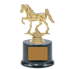 BFRB08 Gaited Horse Trophies