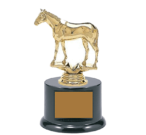 BFRB08 Thoroughbred Trophies in black only.