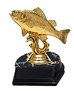 Crappie - Perch Fishing Trophy Crappie - Perch Fishing Trophy