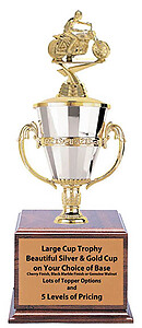 CFRC8-360MFT Cup Trophy with Cherry Finish Base