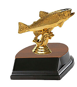 Trout Fishing Trophies Trout Fishing Trophies