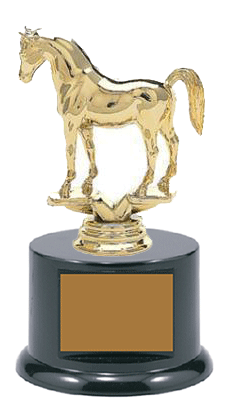 Small BFRB08 Arabian Equestrian Trophies