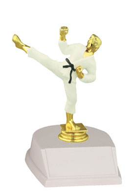 Base and Topper Male Martial Arts Trophy in Full Color Base and Topper Male Martial Arts Trophy in Full Color