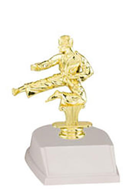 Base and Topper Male Martial Arts Trophy Base and Topper Male Martial Arts Trophy