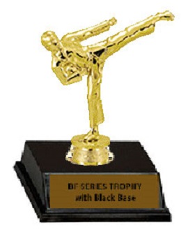 Base and Topper Martial Arts Trophy Base and Topper Martial Arts Trophy