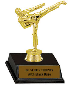 Female Base and Topper Martial Arts Trophy Female Base and Topper Martial Arts Trophy