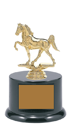 BFRB08 Tennessee Walking Horse Trophies