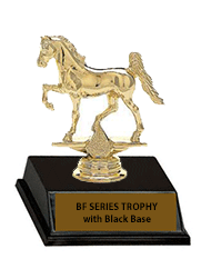 BF Small Gaited Horse Trophies