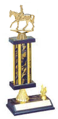 R2R Equestrian Rider Trophy, select heights of 10