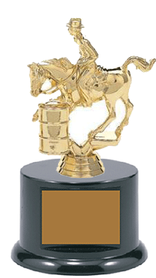 BFRB08 Small Barrel Racing Male or Female