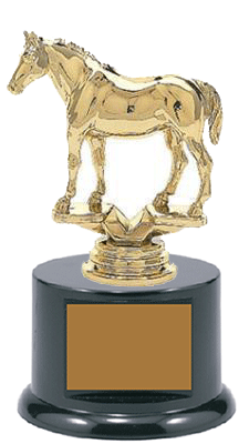 Small BFRB08 Quarter Horse Trophies