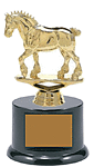 BFRB08 draft Trophy