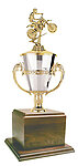 gwrc8-370db Silver and Gold Cup Trophy with walnut veneer base