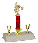 dirt bike trophy r3r-370db with double trim