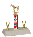 R3-714G Thoroughbred Trophy with double trim