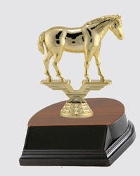 Small Horse Show Trophies and Equestrian Trophies
